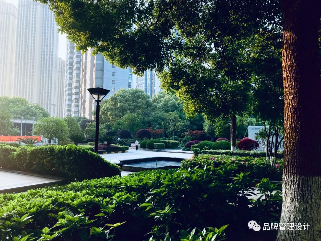 1683612008853909.jpg q1.jpg